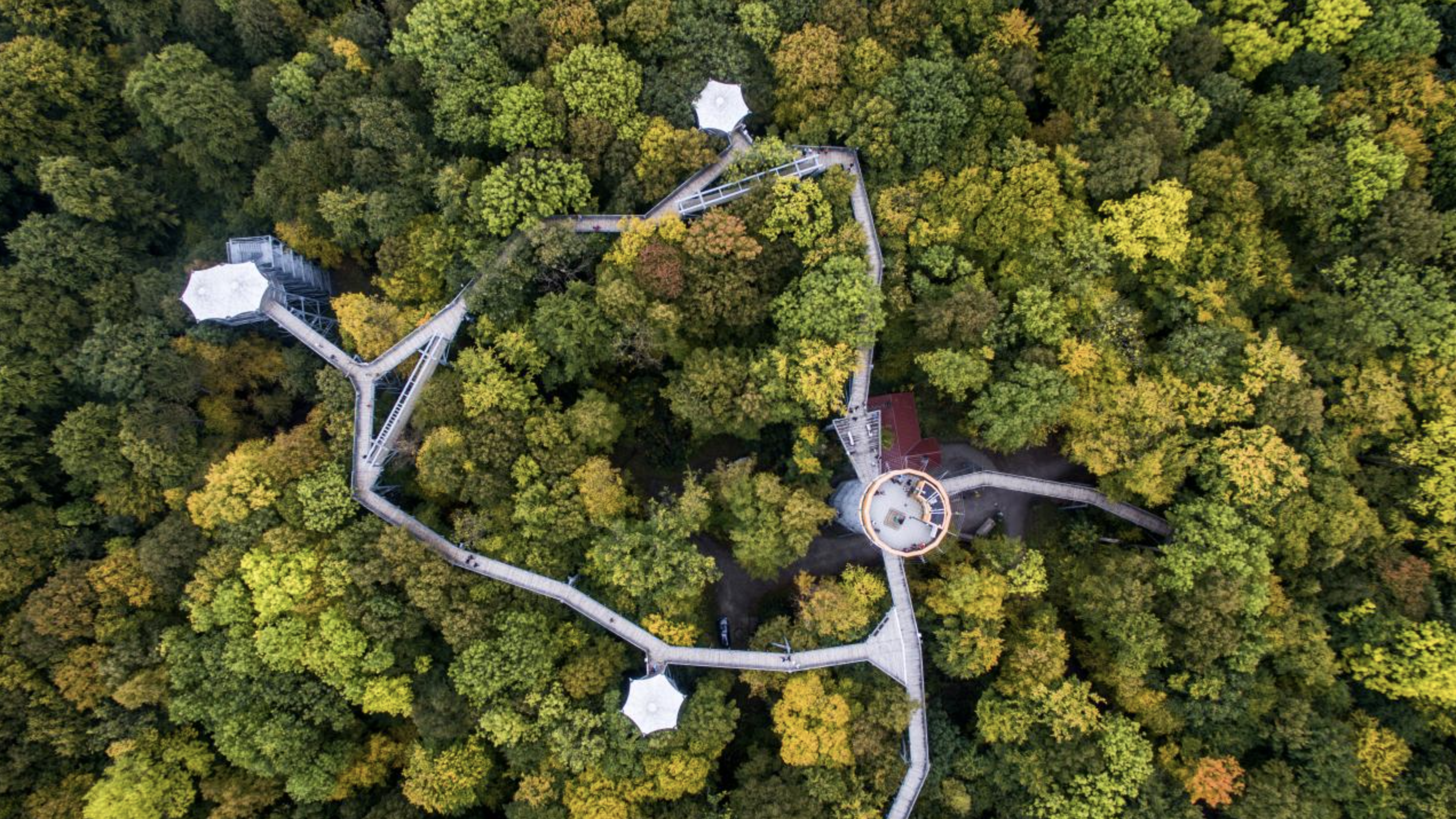 Über den Wipfeln: Baumkronenpfad Hainich